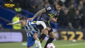 Cập nhật thông tin tình hình lực lượng mới nhất giữa Brighton và Tottenham